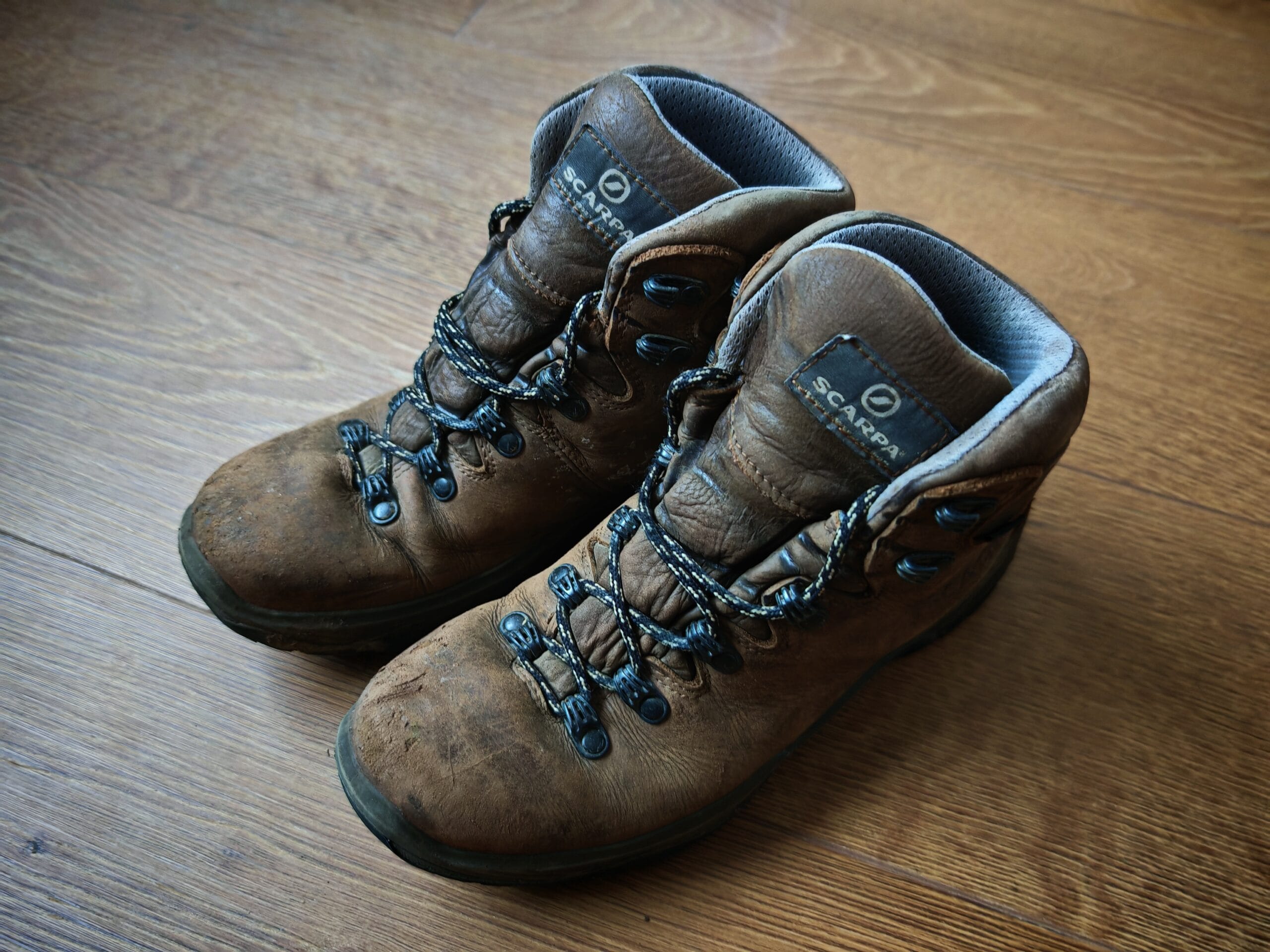 Scarpa Terra GTX