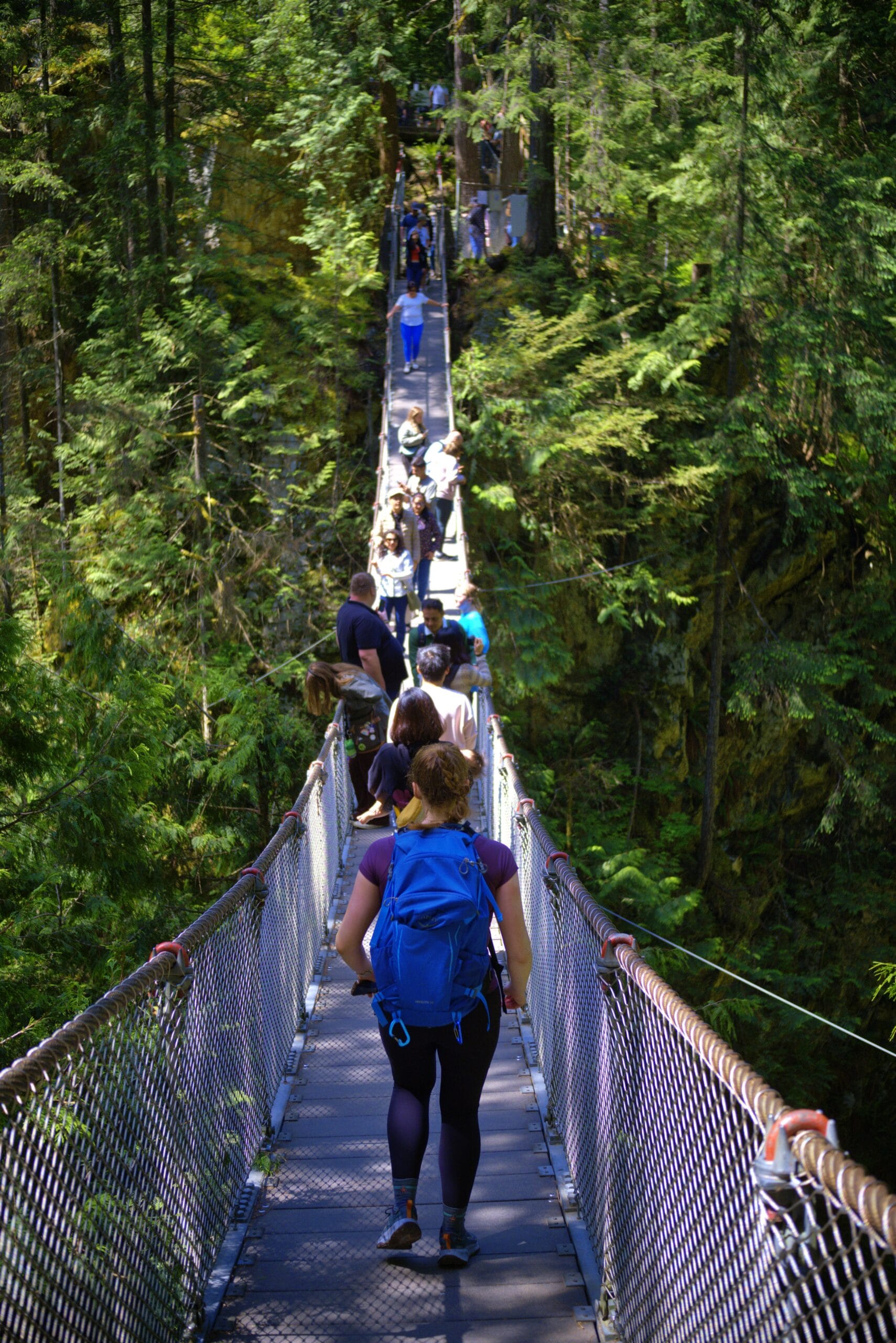 Lynn Canyon and Lynn Peak hiking route map in North Vancouver
