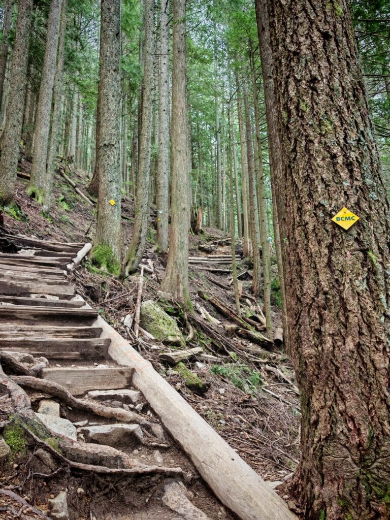 BCMC Trail, Grouse Grind Alt