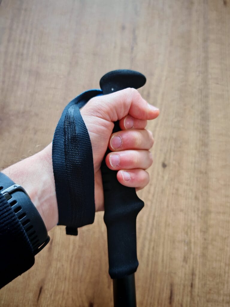 Black Diamond Distance FLZ Handle