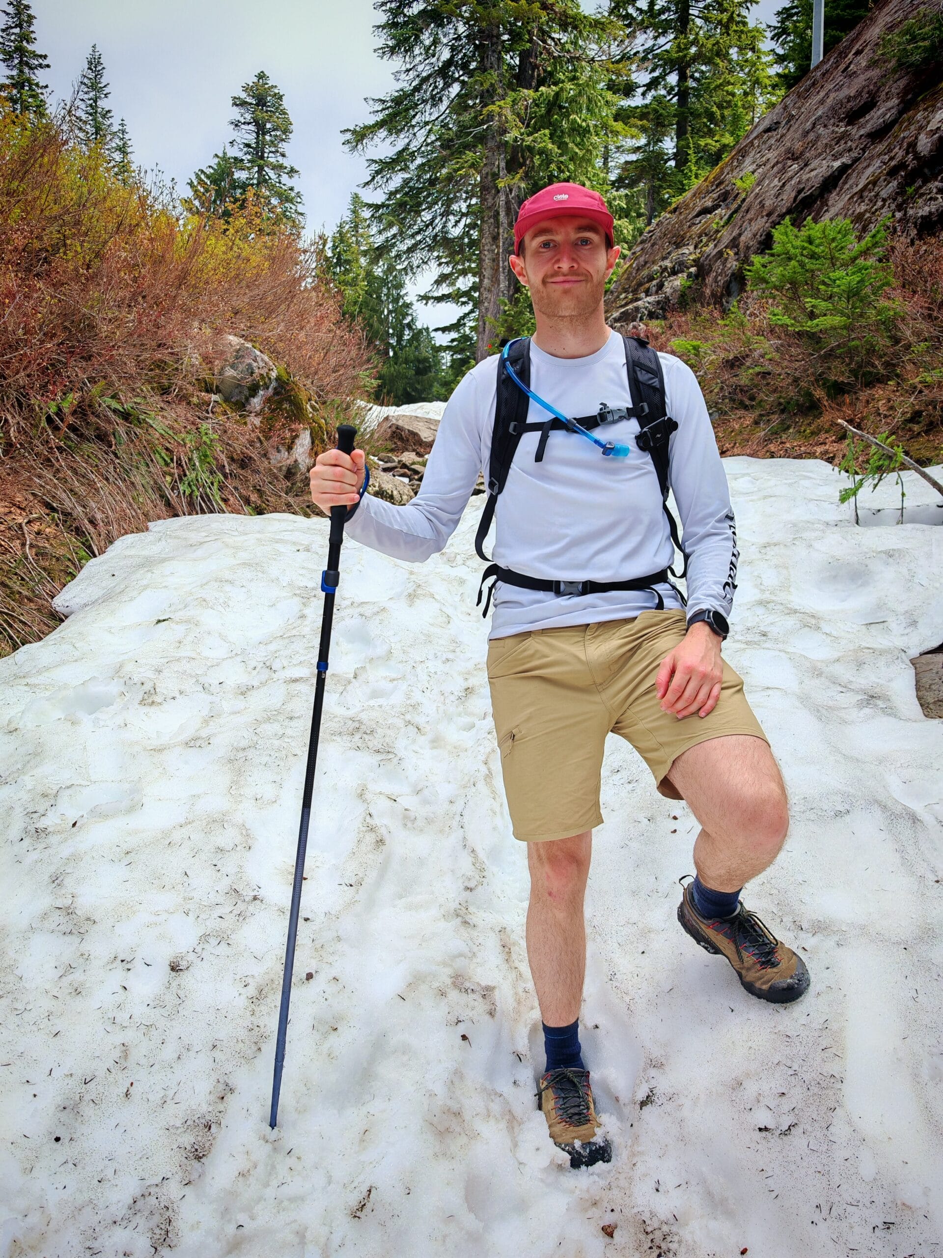 Black Diamond Poles