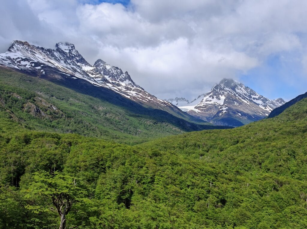 Viewpoint of the Los Perros Valley with a lush forest in the valley and snow capped mountains on the south edge