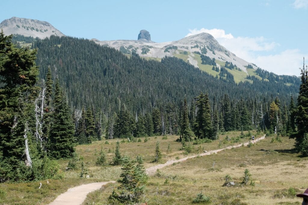 A dusty trail leads off towards black tusk above with forest trees on the mountain slopes