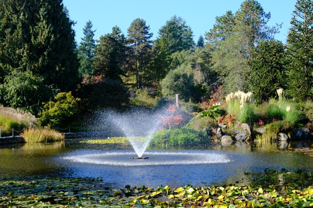 water fountain in the Van dusen botanical gardens in Vancouver