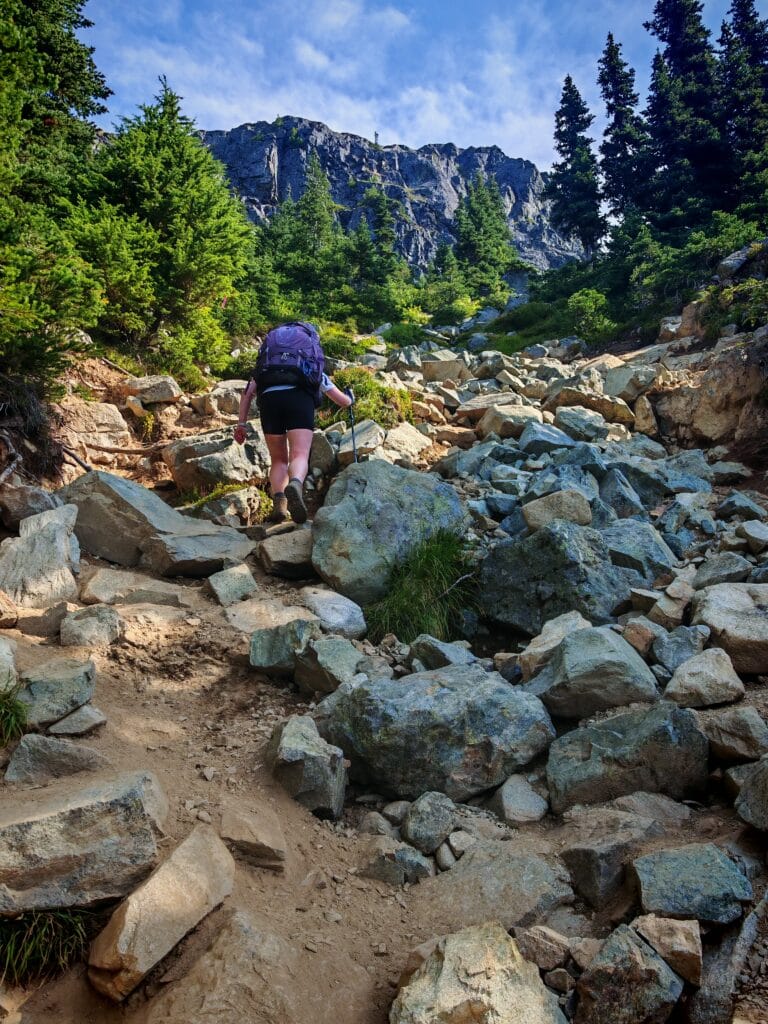 The steep rocky scramble up a gulley is the primary hiking trail to Wedgemount Lake with pine trees bordering the path