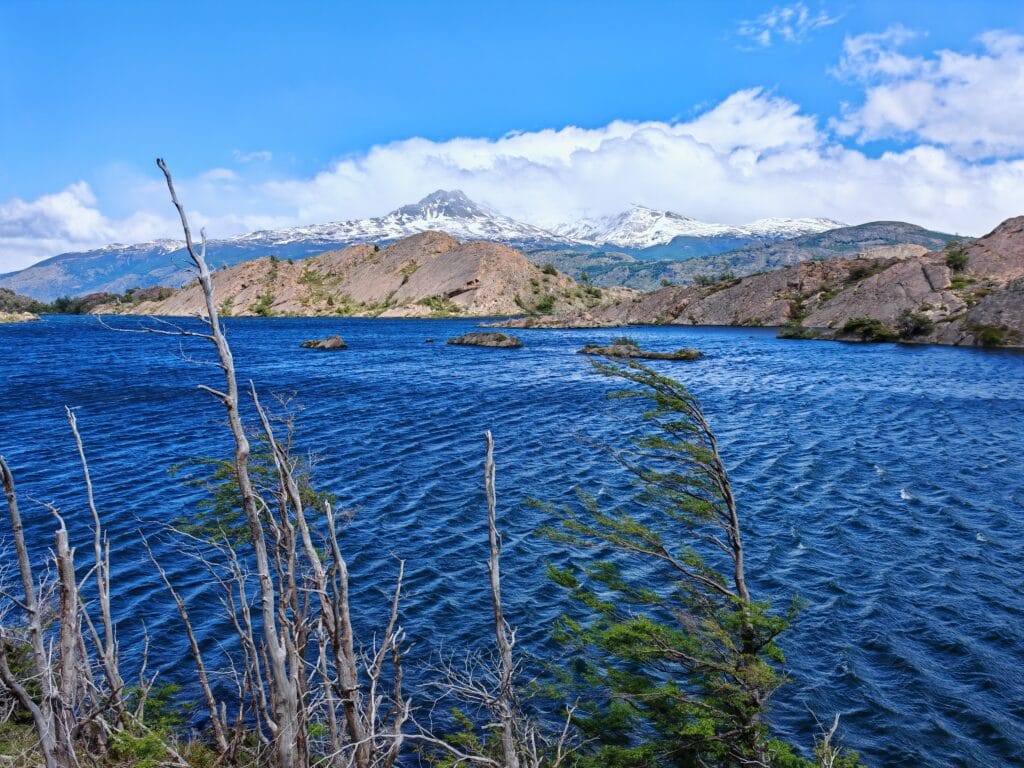 Winds ripples over Grey Lake with patagonian mountains in the background and reed plants in the freground on the torres del paine w trek