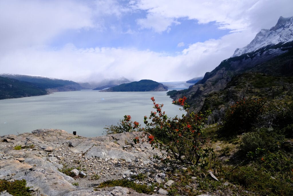 Grey Lake with grey glacier in the background with mountains on on side and a rocky outcrop with berry bush in the foreground on the W Trek