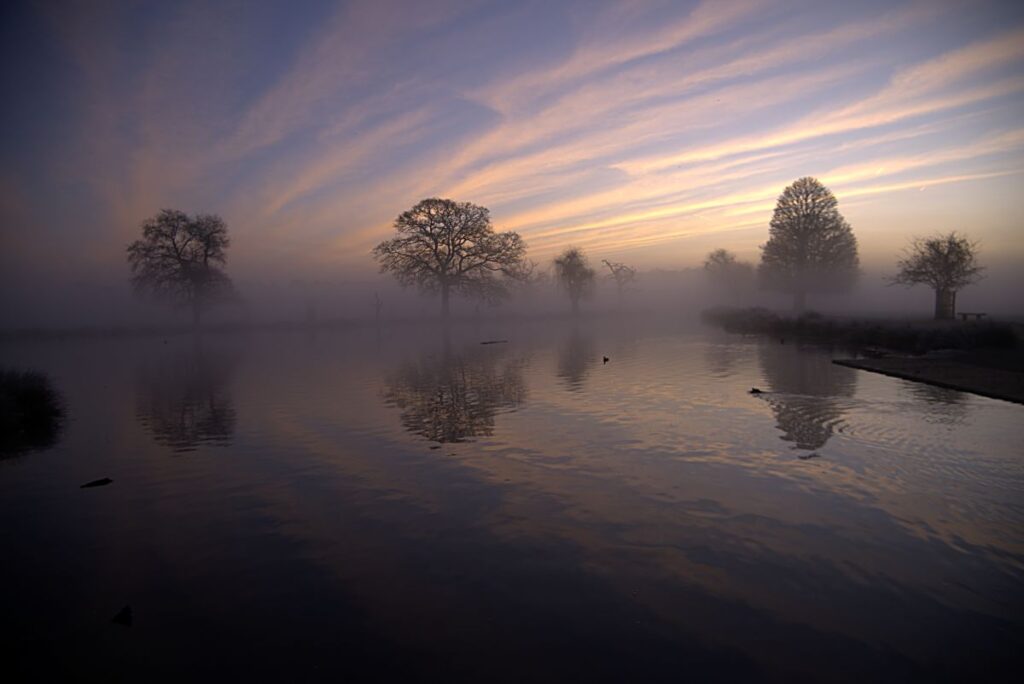 Sun rise over a pond in Bushy park, Teddington shot on a Fujifilm X-T30