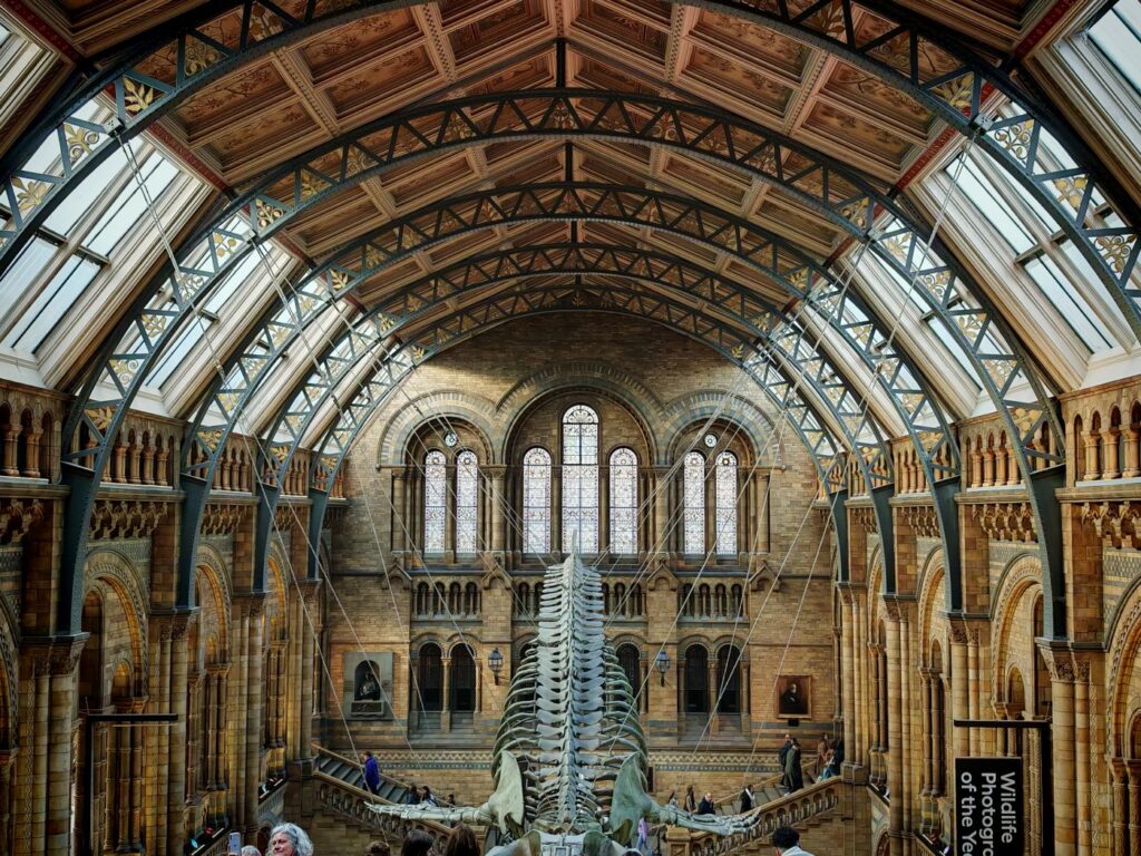 Natural History Museums main hallway with the famous whale skeleton